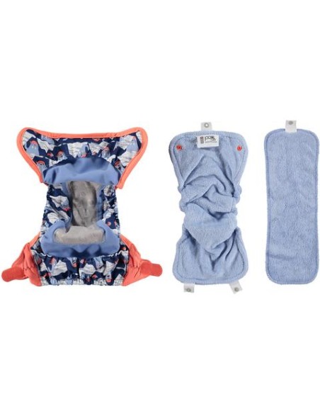 POP-IN - TODO EN DOS - WALRUS (V2)