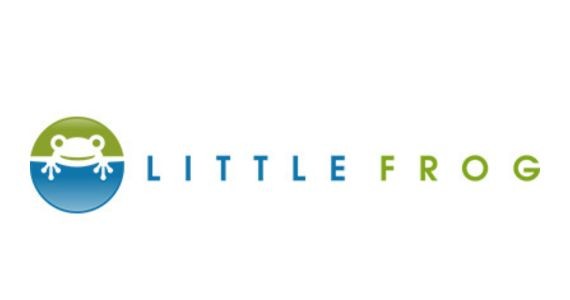 LITTLE FROG
